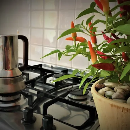 Bogamari 3* アルゲーロ